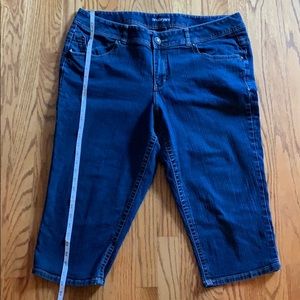 Lanebryant Cropped Cropped